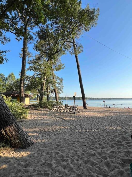 Agreable Maison Landaise Proche Du Lac Sanguinet Eksteriør bilde